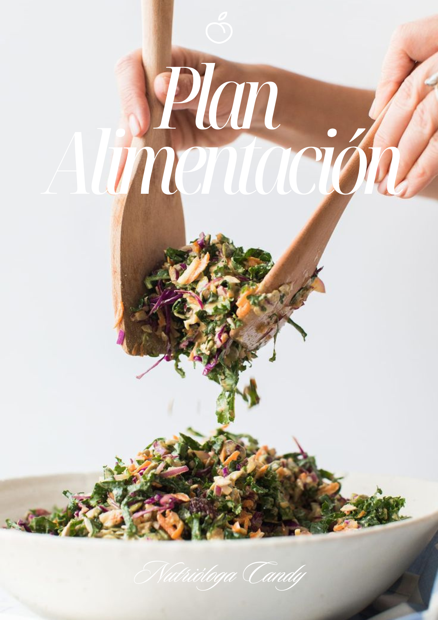 Guía práctica RESISTENCIA INSULINA